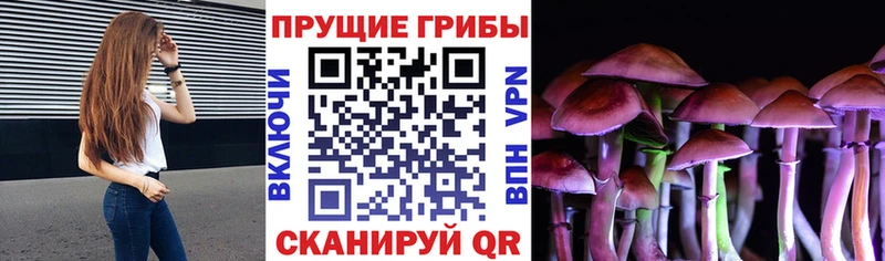 Псилоцибиновые грибы Magic Shrooms Пошехонье