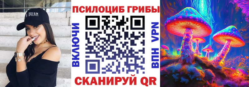 Купить закладки  Пошехонье  Галлюциногенные грибы прущие грибы 